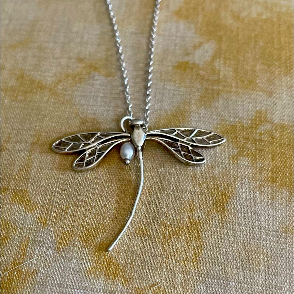 Silver Mud Doctor Necklace